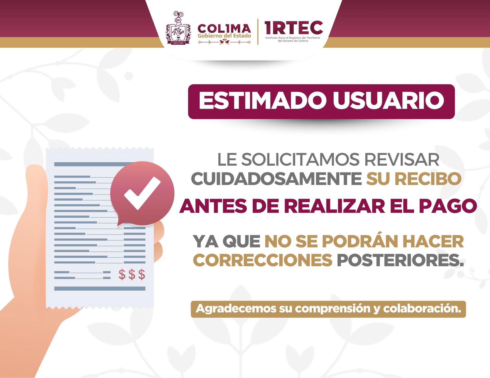 Imagen 6
