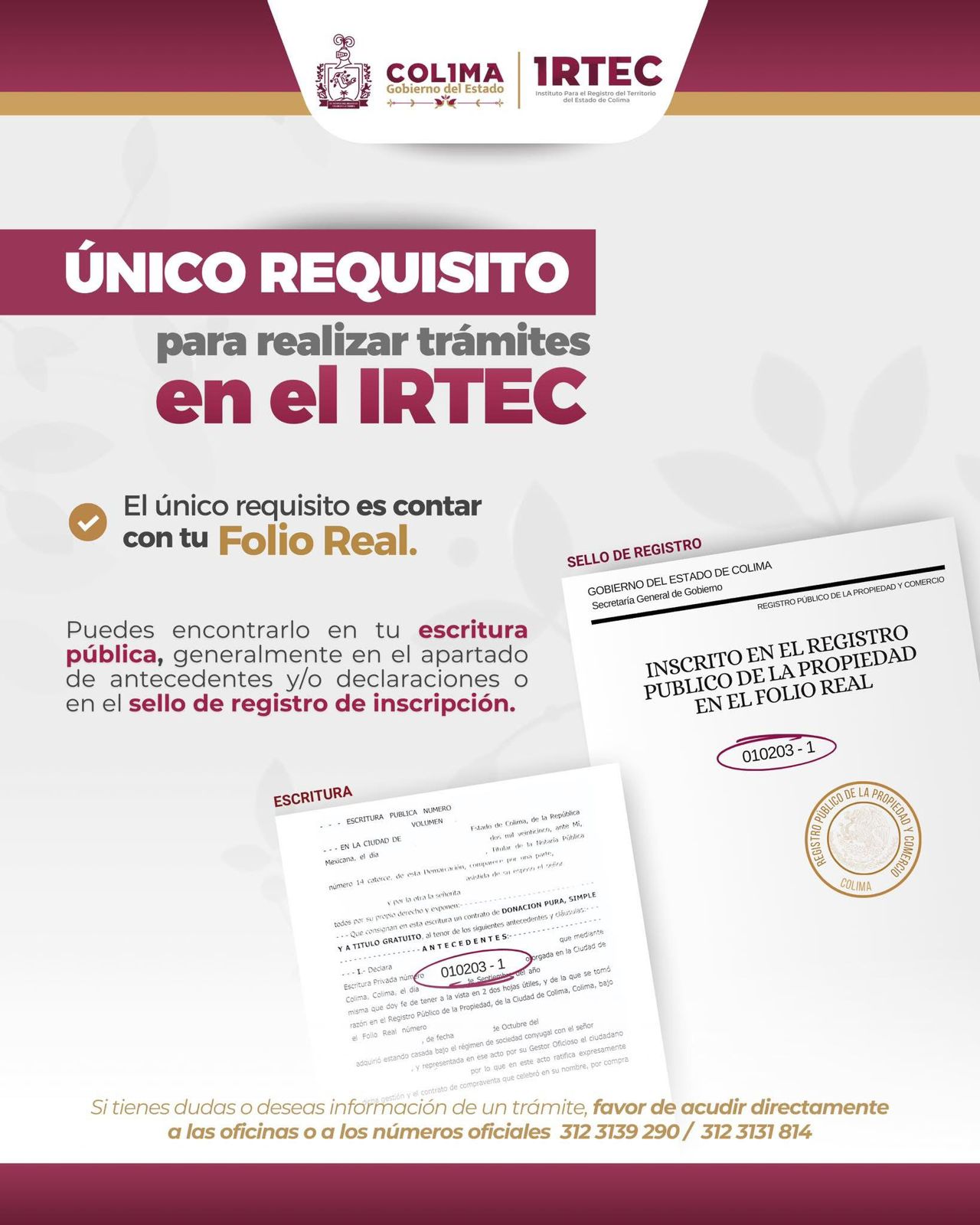 Imagen 7