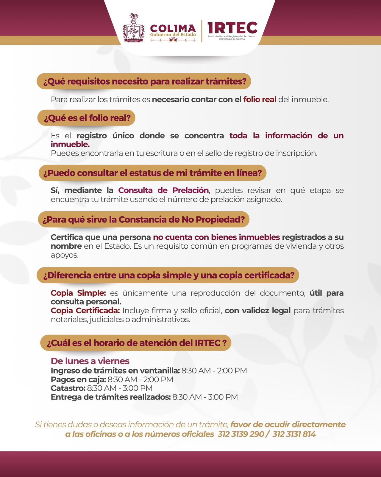 Imagen 8