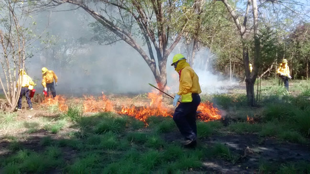 Brigadistas colimenses combatirán incendios forestales en Canadá, informa Subseder.